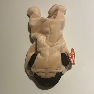 Ty “Pugsly”-Tan and Black